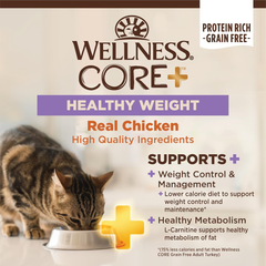 Wellness CORE+ Adult Dry Cat Food for Indoor & Outdoor Cats, Grain Free, Natural, Healthy Weight, Chicken and Chicken Meal
