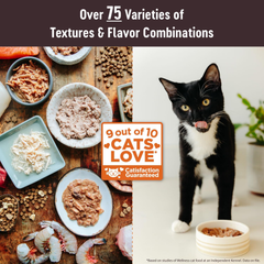 Wellness CORE+ Adult Dry Cat Food for Indoor & Outdoor Cats, Grain Free, Natural, Healthy Weight, Chicken and Chicken Meal