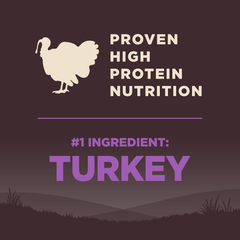 Wellness CORE Grain-Free Senior Dry Dog Food, Made in USA with Natural Ingredients, No Meat by-Product, Fillers, Artificial Flavors, or Preservatives (Turkey)
