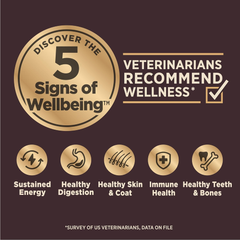 Wellness CORE Digestive Health Sensitive Stomach Chicken with Grains Dry Puppy Food