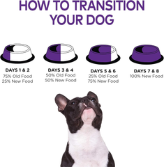Wellness Complete Health Dry Dog Food with Grains, Natural Ingredients, Made in USA with Real Meat, All Breeds, For Adult Dogs (Healthy Weight - Chicken & Potatoes)