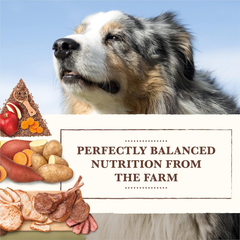 Whole Earth Farms Natural Grain Free Dry Kibble, Wholesome And Healthy Dog Food, Pork, Beef, And Lamb Recipe