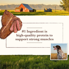 Whole Earth Farms Natural Grain Free Dry Kibble, Wholesome And Healthy Dog Food, Pork, Beef, And Lamb Recipe