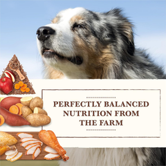 Whole Earth Farms Natural Grain Free Dry Kibble, Wholesome and Healthy Dog Food, Chicken and Turkey Recipe