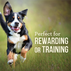 Merrick Power Bites Natural Soft And Chewy Real Meat Dog Treats, Grain Free Snack With Real Rabbit Recipe