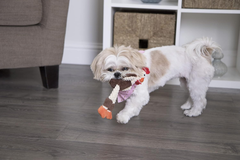 goDog Checkers Just for Me Skinny Rooster Squeaky Plush Dog Toy, Chew Guard Technology - Brown