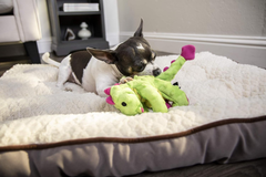 goDog Bubble Plush Dragons Squeaky Dog Toy, Chew Guard Technology - Bright Green