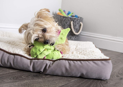 goDog Bubble Plush Dragons Squeaky Dog Toy, Chew Guard Technology - Bright Green