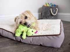 goDog Bubble Plush Dragons Squeaky Dog Toy, Chew Guard Technology - Bright Green