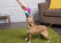 goDog Furballz Ring Squeaky Plush Dog Toy, Chew Guard Technology - Rainbow