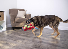 goDog Dinos Frills Squeaky Plush Dog Toy, Chew Guard Technology - Red