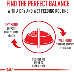 Royal Canin Feline Health Nutrition Aging 12+ Thin Slices In Gravy Canned Cat Food