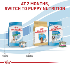 Royal Canin Size Health Nutrition Small Starter Mother & Babydog Dry Dog Food