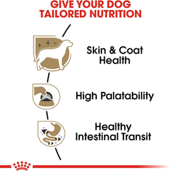 Royal Canin Chihuahua Adult Breed Specific Loaf in Sauce Dog Food