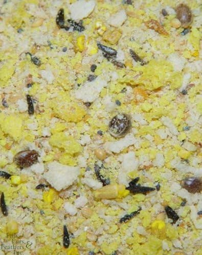 Higgins Group Higgins Avian Proteen Eggfood
