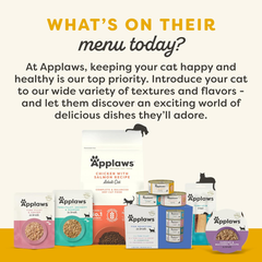 Applaws Natural Wet Cat Food, 12 Count, Limited Ingredient Wet Cat Food Pouches, Chicken Breast with Pumpkin in Broth