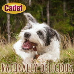 Cadet Gourmet Triple-Flavored Beef Hide Shish Kabob Dog Treats - Healthy & Natural Chicken, Duck, & Sweet Potato Dog Treats, 5 in.