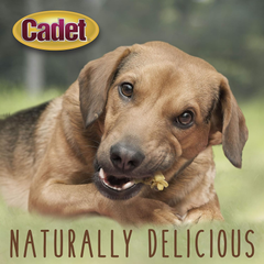 Cadet Gourmet Chicken & Apple Wrapped Dog Treats Wraps - Healthy & Natural Chicken & Apple Dog Training Treats for Small & Large Dogs - Inspected & Tested in USA