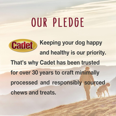 Cadet Gourmet Chicken & Apple Wrapped Dog Treats Wraps - Healthy & Natural Chicken & Apple Dog Training Treats for Small & Large Dogs - Inspected & Tested in USA