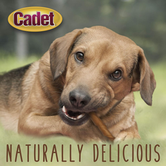 Cadet Gourmet Pork Hide Rolls 10 in.