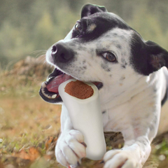 Cadet Stuffed Shin Bone - Highly Digestible, High Protein, Long-Lasting Dog Chew Bone for Aggressive Chewers, Supports Dental Health, - Chicken Flavor, Large