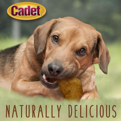 Cadet Premium Grade Beef Hide for Dogs, Long-Lasting Rawhide Chips, Single Ingredient Dog Chews, Peanut Butter Flavor