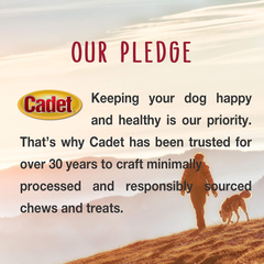Cadet Premium Grade Beef Hide for Dogs, Long Lasting Rawhide Retriever Rolls, Single Ingredient Dog Chews, Peanut Butter Flavor, 10 Inch