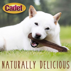 Cadet Premium Grade Beef Hide for Dogs, Long Lasting Rawhide Retriever Rolls, Single Ingredient Dog Chews, Variety Flavor, 10 Inch