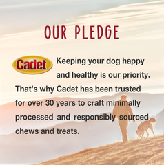 Cadet Double Stuffed Shin Bone - Highly Digestible, High Protein, Long-Lasting Dog Chew Bone for Aggressive Chewers, Supports Dental Health, - Bacon & Cheese Flavor