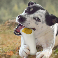Cadet Stuffed Shin Bone - Highly Digestible, High Protein, Long-Lasting Dog Chew Bone for Aggressive Chewers, Supports Dental Health, - Cheese Flavor