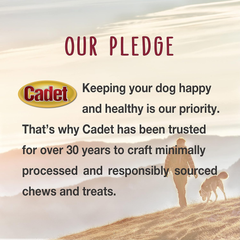 Cadet Stuffed Shin Bone - Highly Digestible, High Protein, Long-Lasting Dog Chew Bone for Aggressive Chewers, Supports Dental Health, - Peanut Butter Flavor