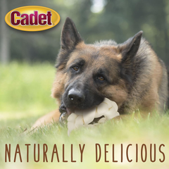 Cadet Premium Grade Beef Hide for Dogs, Long Lasting Rawhide Donut Bone, Single Ingredient Dog Chews