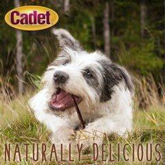 Cadet Premium Grade Beef Hide for Dogs, Long-Lasting Munchy Chew Sticks, Single-Ingredient Rawhide Dog Chews, 5-Inch