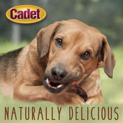 Cadet Gourmet Sweet Potato & Chicken Wraps Limited-Ingredient Dog Chews, Healthy and Natural Training Treats for Small and Large Dogs