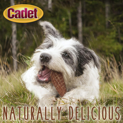 Cadet Gourmet Chicken Tenders for Dogs Tenders Chicken