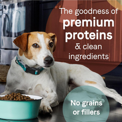 Canidae PURE Healthy Weight Limited Ingredient Premium Adult Dry Dog Food, Chicken and Pea Recipe