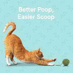 Canidae Goodness for Digestion, Premium Adult Dry Cat Food with Real Chicken