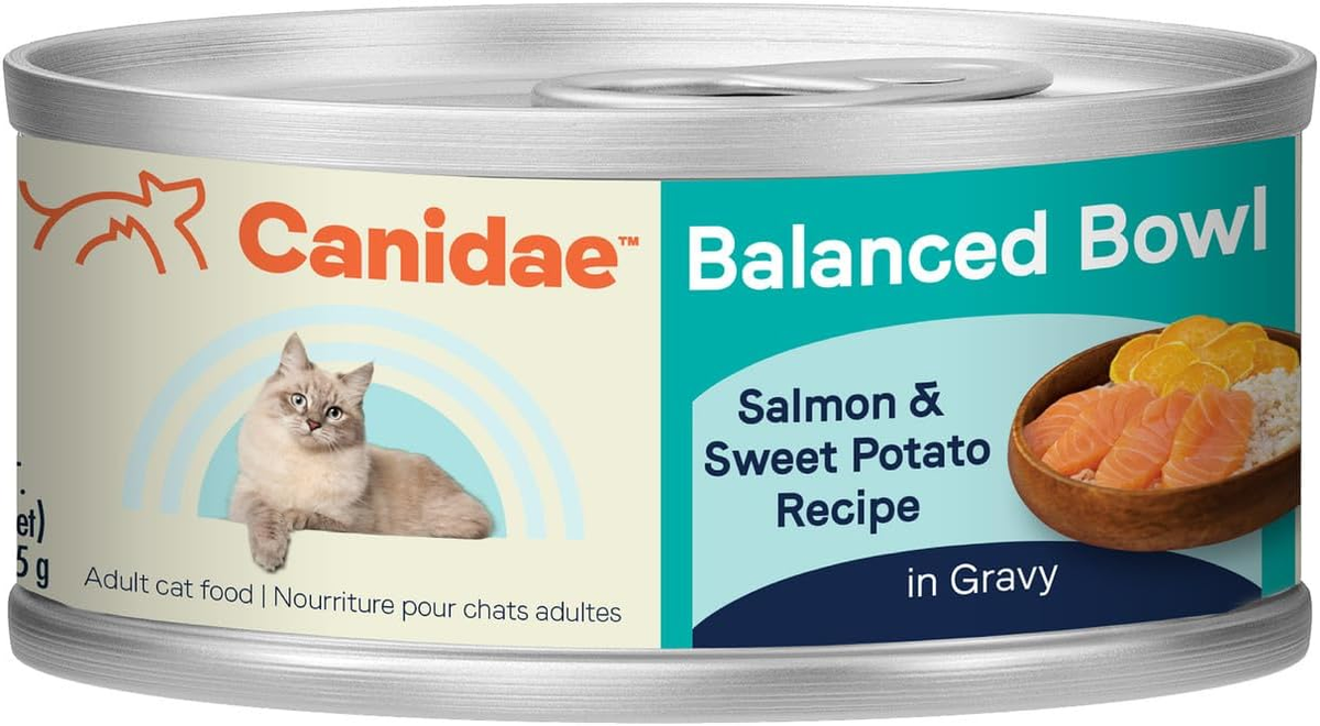 Canidae Balanced Bowl Wet Cat Food, Salmon & Sweet Potato, Recipe