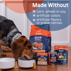 CANIDAE Pure Protein Topper Wet Dog Food, Chunks of Real Tuna in Gravy Recipe