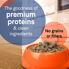 Canidae PURE Limited Ingredient Premium Adult Wet Dog Food, Lamb Recipe
