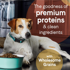 CANIDAE Pure Dry Puppy Food with Wholesome Grains, Real Salmon & Oatmeal