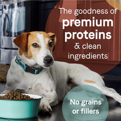 Canidae Pure Grain Free Dry Puppy Food, Real Chicken, Lentil & Whole Egg