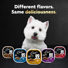 CESAR Adult Soft Wet Dog Food Steak Lovers Variety Pack with Real Meat, (36) 3.5 oz. Trays