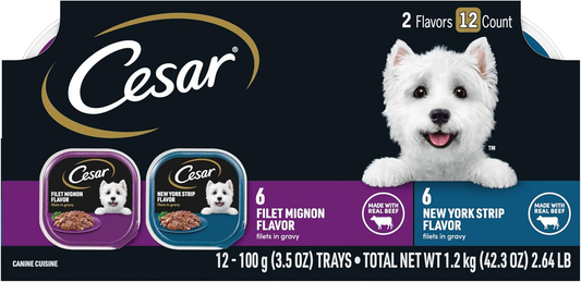 CESAR Filets in Gravy Adult Wet Dog Food, Filet Mignon and New York Strip Flavors Variety Pack