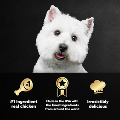 CESAR Adult Soft Wet Dog Food Classic Loaf in Sauce, Chicken & Liver Recipe