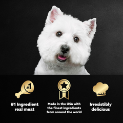 CESAR Adult Soft Wet Dog Food Loaf in Sauce Beef Recipe