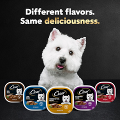 CESAR Adult Soft Wet Dog Food Loaf in Sauce Beef Recipe