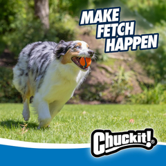 Chuckit! Ultra Ball Dog Toy - Medium Bouncy Fetch Balls For Dogs 20-60 lbs - Made from Durable Rubber - Floating Water Pet Toys 2.5-inch Diameter - Pack of 2