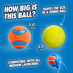 Chuckit! Ultra Ball Dog Toy - Medium Bouncy Fetch Balls For Dogs 20-60 lbs - Made from Durable Rubber - Floating Water Pet Toys 2.5-inch Diameter - Pack of 2
