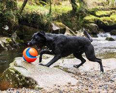 Chuckit! Kick Fetch Ball Large